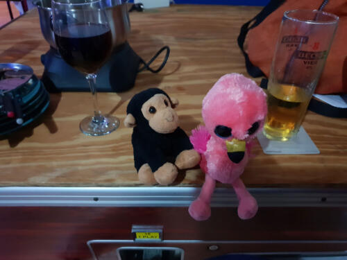 Pink Bird & Kevin the Monkey